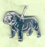 AnglickýBuldog.jpg